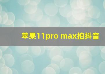 苹果11pro max拍抖音